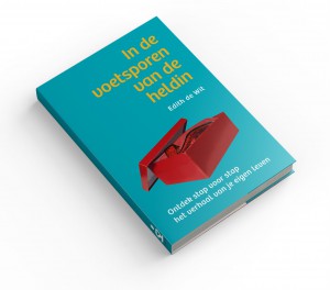 boekcoverschuingroot